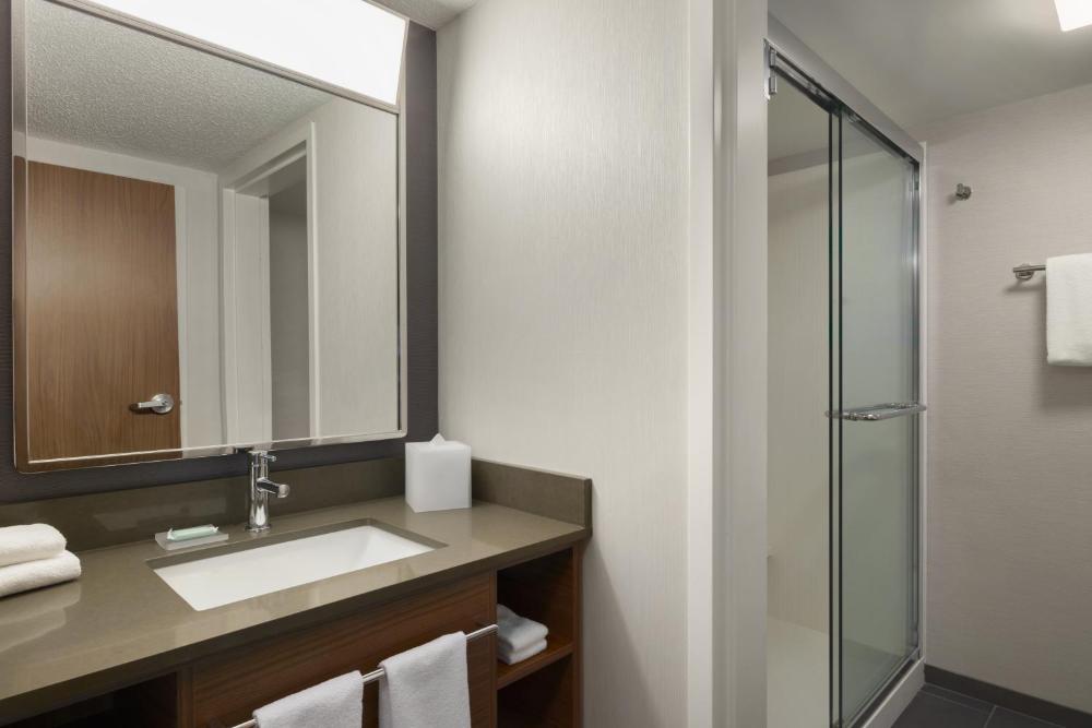 1 Bedroom 2 room Suite, 1 King, Sofa bed interior